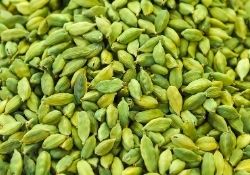 Cardamom