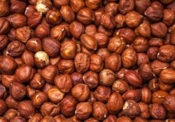 Cardamom